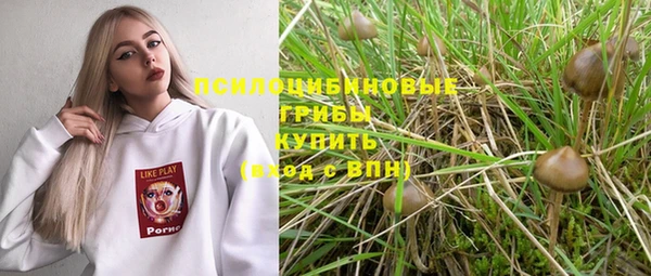 круглые Гусь-Хрустальный