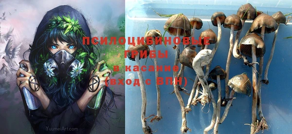 спиды Гусиноозёрск