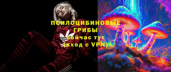 спиды Гусиноозёрск
