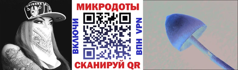 Купить  Касимов  Псилоцибиновые грибы Cubensis 